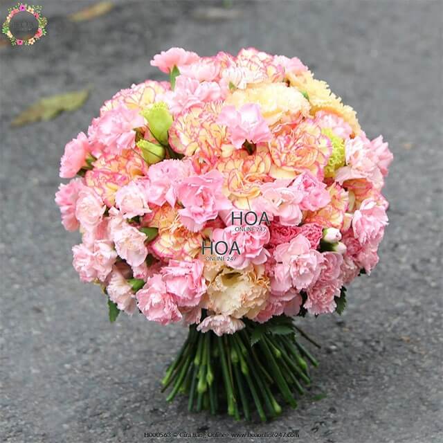 [Mới] Hoa Cát Tường | hoa may mắn
