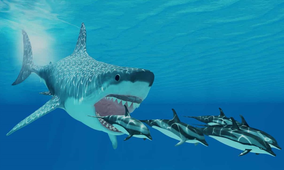 Lần đầu tiên tiết lộ kích thước thật của loài cá mập thời tiền sử khổng lồ