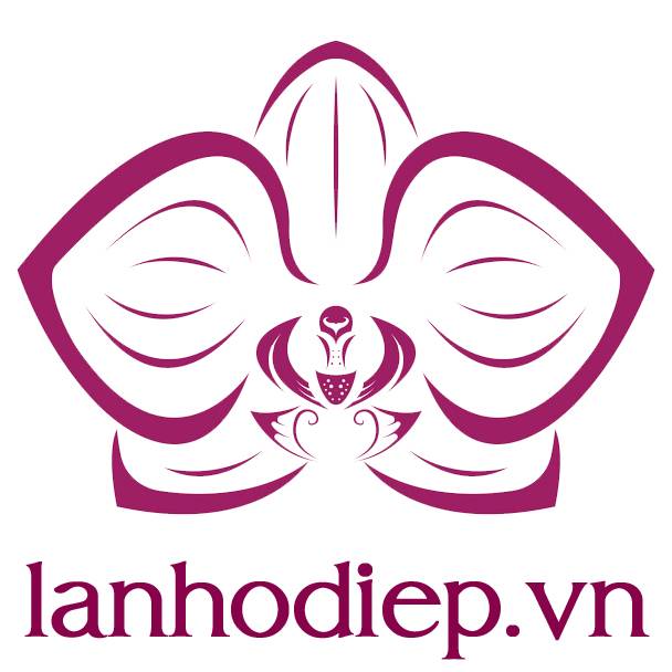 Logo Lanhodiep Vn PNG Vương